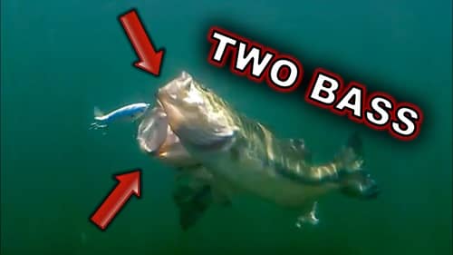 Best Baits for Post Spawn Fish **UNDERWATER FOOTAGE**