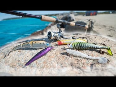 Fish What You Find Saltwater FISHING CHALLENGE! (Surprising Results)