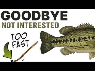 The #1 Bass Fishing MISTAKE You're Making (And How to Fix It NOW!)