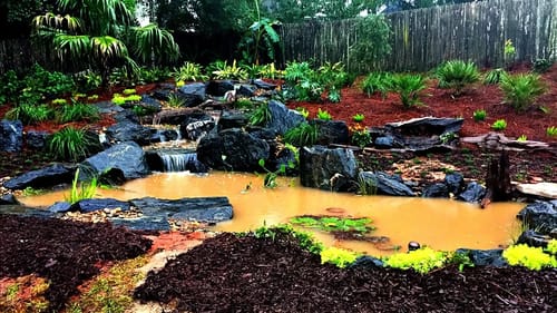 Hurricane Destroys New Backyard Pond