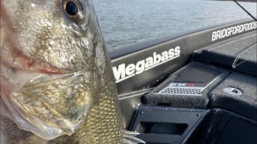 BFL/Table Rock Lake…Day 1 Practice Report…