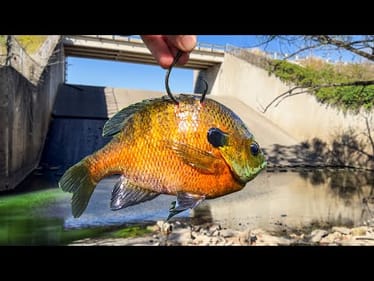 I Could NOT Believe what was Hiding HERE!!! (New PB!!)