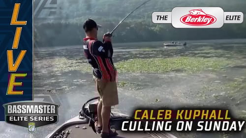 Kuphall is Culling! (FINAL DAY LEADER)