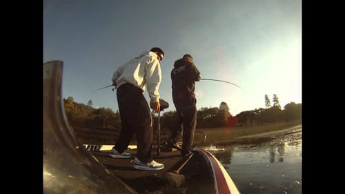 Bass on the Snagproof bobby's perfect frog