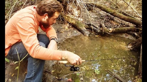 Puddle Fishing
