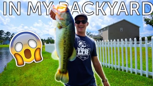 I CAUGHT THIS FISHING IN MY BACKYARD !