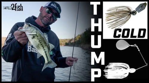"Lateral Line Thumping" Winter Bass | ChatterBaits, Spinnerbaits & More