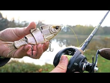 First Time Fishing with BIG Swimbaits!!!