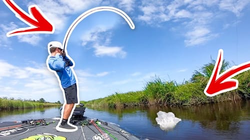 This Creek is LOADED w/ Bass (River Fishing)