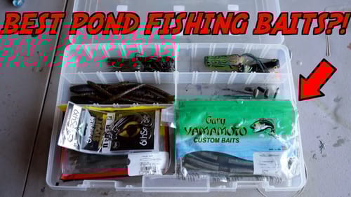 The ONLY Lures You NEED For Pond Bass Fishing!