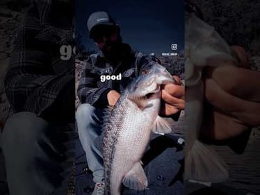 When the bite’s tough, slow down 👌 #bassunion #bassunionjigs #bassunionguideservice