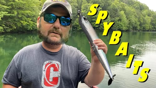 SpyBaits For Summer Largemouth