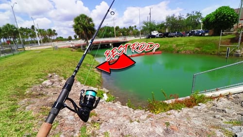 Ultra Clear Miami Canal Fishing!