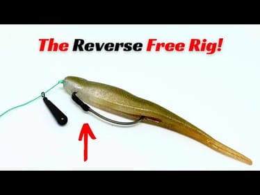 The Reverse Free Rig! It’s Amazing!