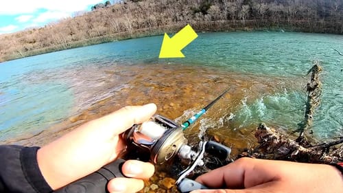 River Fishing for WORLD RECORD Trout!!! (New PB)