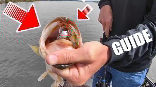 HOW a Guide Fishes this LURE on the MOST Pressured LAKE in the Country