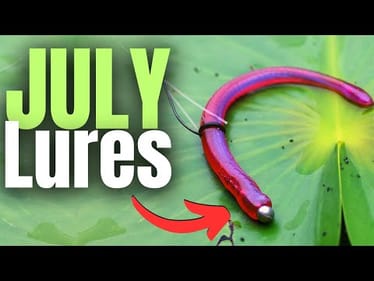 JULY Lures Big BASS Can't Resist