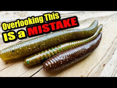 The Simple Winter Worm Trick That Catches Bass ALL Day