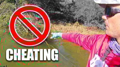 THINGS NO ONE Tells YOU about FALL FISHING!!! (CHEATING ~ Lake Lanier Bass Techniques)