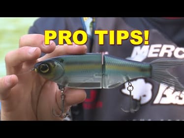 Glide Baits in the Summer: Big Bass Strategies from BassResource.com | Bass Fishing