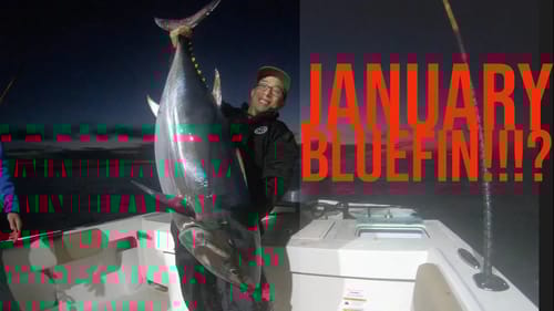 January Bluefin Tuna Fishing in California!  Big Tuna Dreams 2019 Part 1