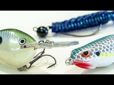 Where Do Bass Go After The Spawn? (And The Baits To Catch Them)