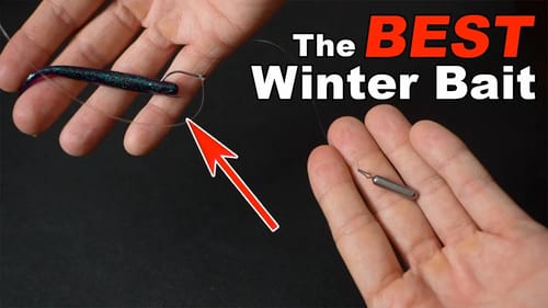 THIS Is The BEST Fishing Lure For Winter  (DS Rig 2022)