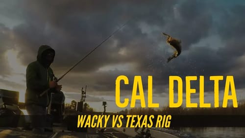 California Delta Bass Fishing w: Robert Matsuura Part 2
