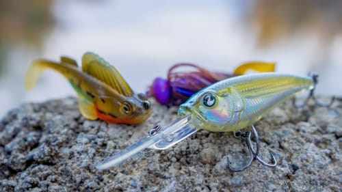 Winter Bass Fishing: Everything You Need To Know To Catch Fish Now