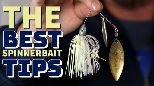 Fishermen FORGOT This FIERCE Bass Fishing Lure