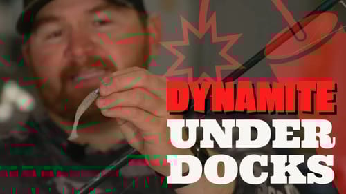 How To SKIP A Swimbait - June Bass Fishing Video 2022