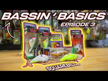 Bassin’ Basics - Episode 3 - ( Square Bills )