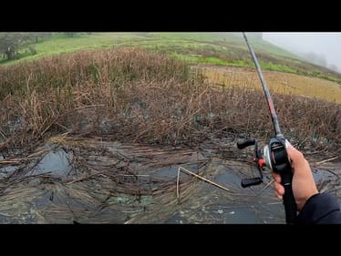 A foggy morning of spring fishing
