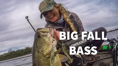 BIG fall BASS fishing