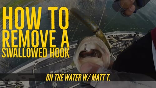 Weightless Plastics in Northern California with Matt Tueten Part 2