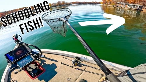 Unexpected Schooling Fish SAVED Our Tournament || Fall Bass Fishing @fishingthedmv
