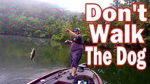 DON'T Throw WALKING BAITS! Do This Instead