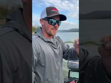 You never know how big they're gonna be, but you about always get a bite throwing the 5" Z #angler