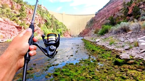 CRAZY Day Fishing Below MASSIVE Dam!!