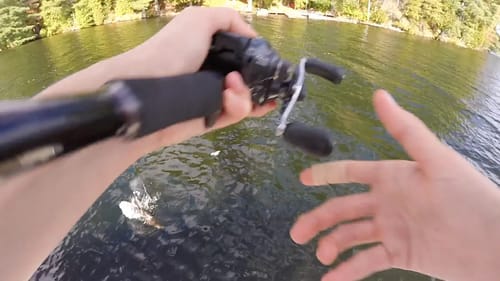 ATTACKED By An OTTER!?