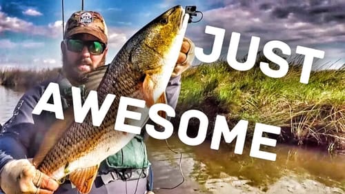 Hunting Redfish in the Louisiana Delta - Inshore Fishing