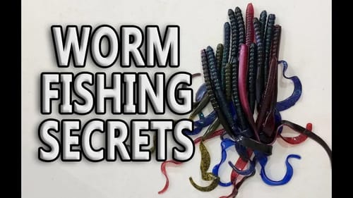 SECRETS to Catch MORE Bass On Plastic Worms - Bass Fishing Tips