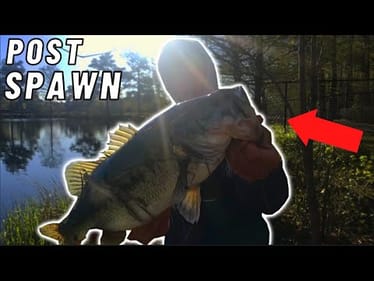 Fishing Canals and Ponds For BIG Post-spawn BASS || Wilmington day 3