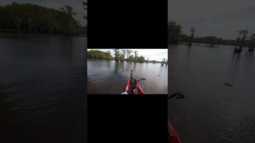 Ok, I Fell Out of My Kayak