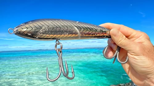 Lure Fishing a Tropical Paradise!