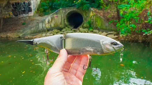 Fishing Ultra Clear Urban Hot Spots For Winter Bass (aquarium fishing)