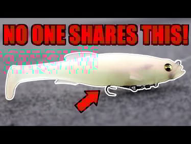 The SECRETS to Catching Fish With a Magdraft!