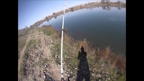 Sycamore Island Pre-Spawn Bass Fishing