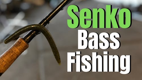 7 JUICY Ways to RIG a SENKO (BEST PLASTIC LURE EVER?)
