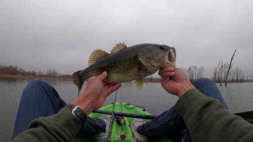 MTB Slam for late winter bass!!